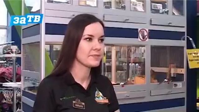 Планета ZOO//Попугай корелла, самая важная информация. смотреть онлайн