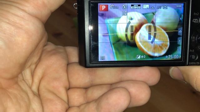 Panasonic LUMIX DMC TZ-100 смотреть онлайн