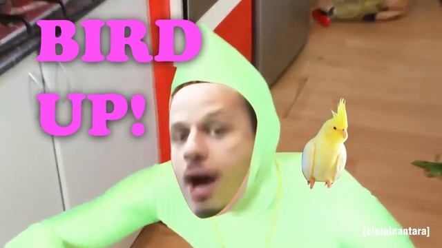 BIRD UP! #shorts смотреть онлайн