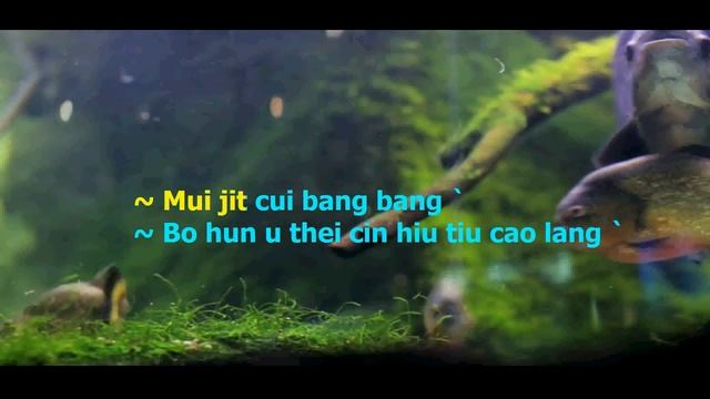 Ai Pia Cia E ya (Karaoke) Hokkien Song /Mandarin ,Female Key F смотреть онлайн