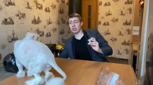 Agv k1 | Как выбрать шлем? AGV K1 AGV K3 AGV K5 и их отличия