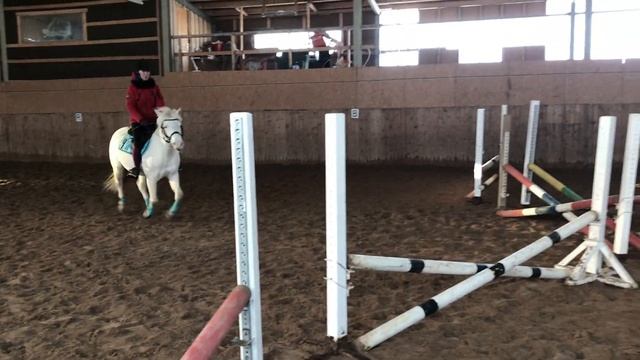 Прыжковые тренировки на Ами и Ланзюше || SHOWJUMPING || Amy Life смотреть онлайн