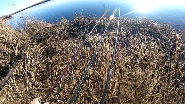 МЕГА карась ! рекорд уходящего года смотреть онлайн