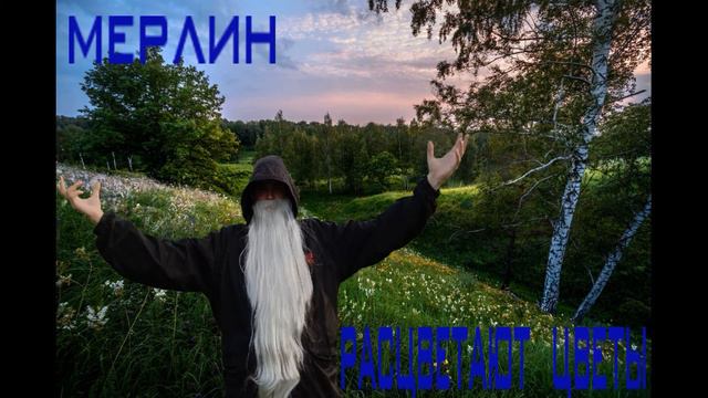 Мерлин - Расцветают Цветы смотреть онлайн