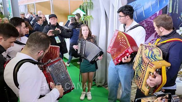 Amigos das Concertinas na Trofa (2) 2024 смотреть онлайн