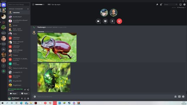 я е6ал в рот это видео (читай описание, умоляю)