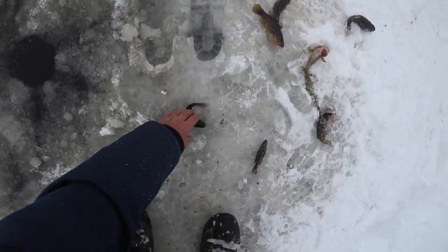 Рыбалка на озере. 5 кг рыбы за час. смотреть онлайн