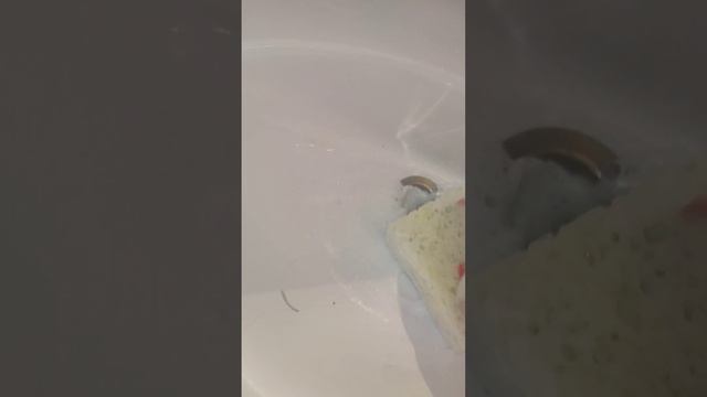 Asmr ?cleantok? Cleaning? Amazing? Babl ??