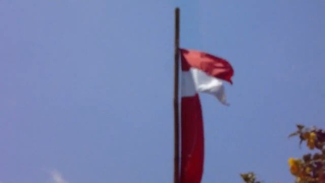 SONY DSC-H400 VIDEO TEST || OUTDOOR DAYLIGHT смотреть онлайн