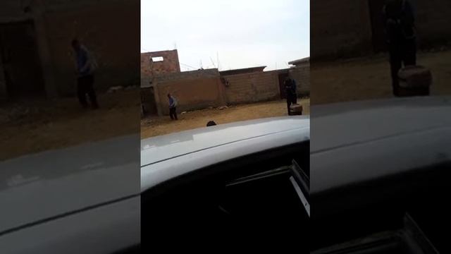 3aras fi wilayat msila смотреть онлайн