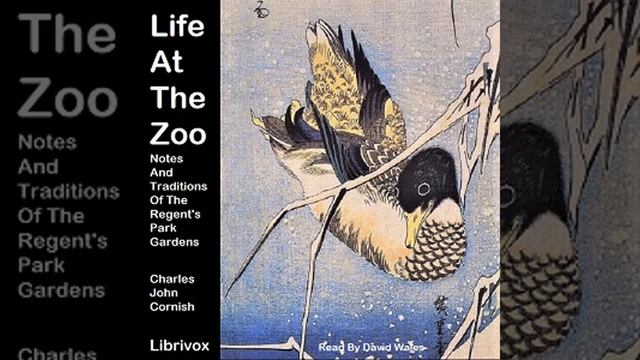 Life At The Zoo: Notes And Traditions Of The Regent's Park Gardens by Charles John Cornish Part 2/2 смотреть онлайн