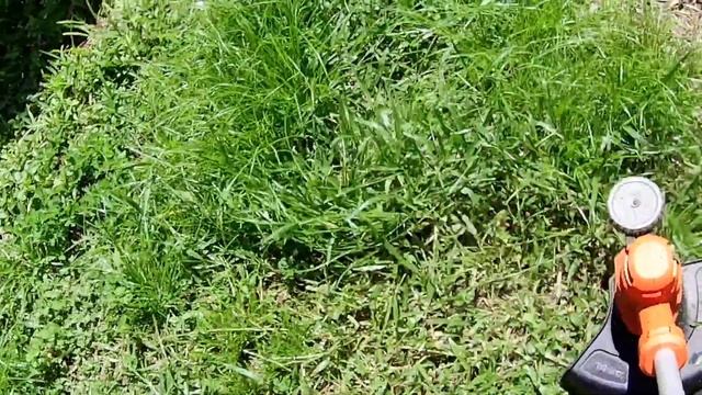 Black & Decker Electric String Trimmer/Edger #blackanddecker #lawn #amazon смотреть онлайн