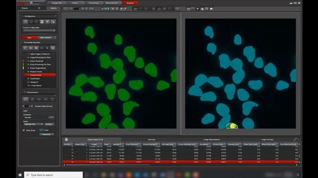 Introduction to LAS X Image Analysis (3D) смотреть онлайн