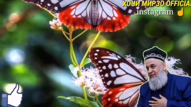 ХОЧИ МИРЗО| КУДРАТИ АЛЛОХРО БИНЕД НАФРАТИ ЗАМИН БА БАНДАИ ЗИНОКОР СРОЧНО БИНЕД 😭☝️ смотреть онлайн