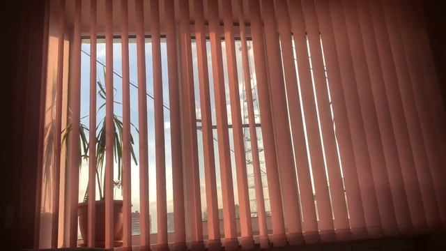 Study With Me?|| учебные будни || подготвка к егэ  #мотивация#егэ2023