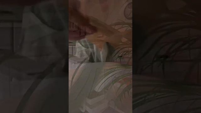 Техника массажа AromaTouch #эфирныемасла #дотерра смотреть онлайн