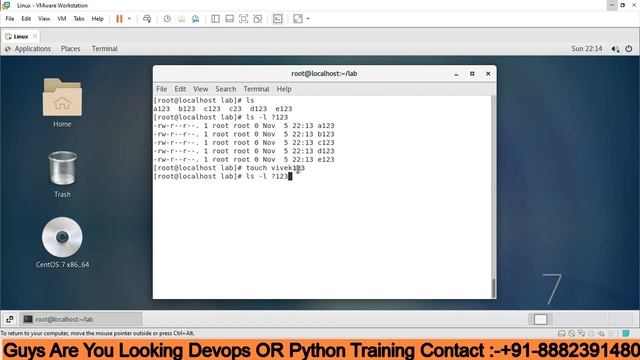 WHAT ARE WILDCARDS IN LINUX AND HOW TO USE IN REALTIME #devopsbustechnology #hindi #devopsengineer смотреть онлайн