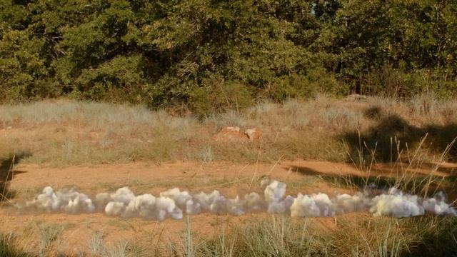 Jurassic World | El Reino Caído aventura volcánica con dinosaurios | Moonbug Kids смотреть онлайн