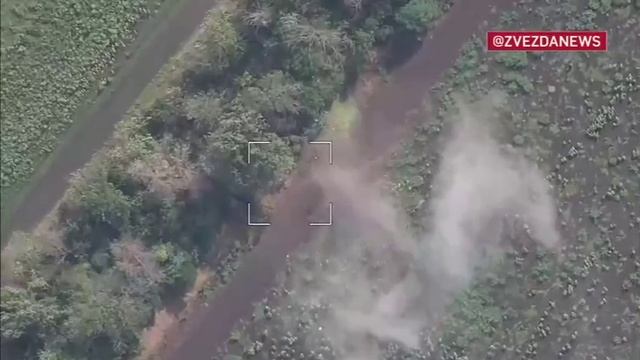 Укры ползут раком к денацификации. смотреть онлайн