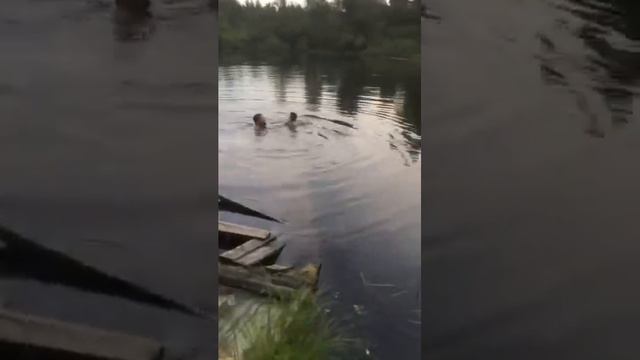 голышом в лесное озеро смотреть онлайн