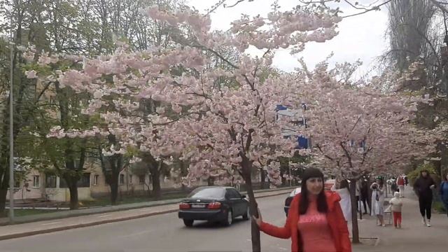 Останній день квітня на Алеї Сакур у Вінниці 30 квітня 2021 р. смотреть онлайн