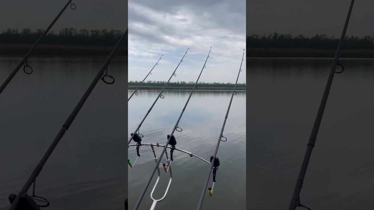 Когда клюёт на все 4 удилища! Шок контент! смотреть онлайн