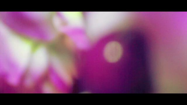 BLU AGAVE 2 (Aftermovie) смотреть онлайн