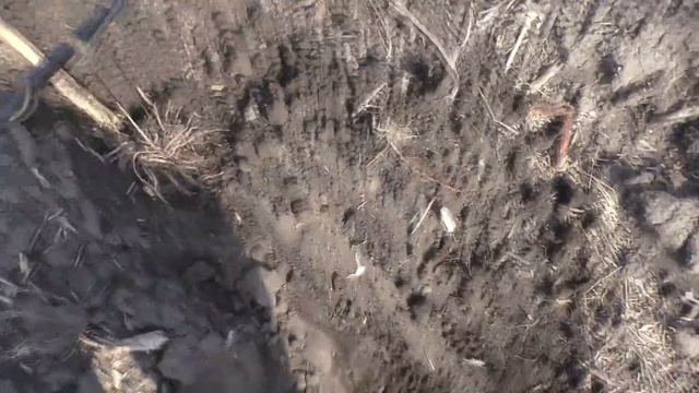 НЕ ЗНАЛ ЧТО ТАКОЕ НАЙДУ.ВСЕГДА КОПАЙТЕ ЯМУ ОСТОРОЖНО. смотреть онлайн