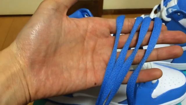 NIKE DUNK HIGH PREMIUM SB 