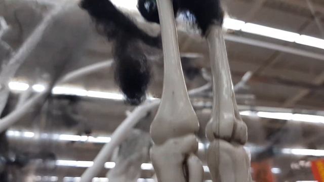 Покупки Боти на Хеллоуин! Как украсить комнату? Обзор всех товаров Halloween смотреть онлайн