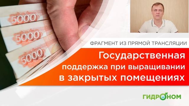 Государственная поддержка при выращивании в помещениях смотреть онлайн