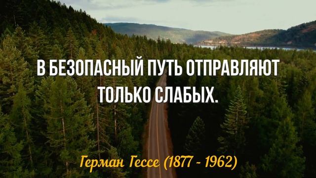 Как ЖАЛЬ, что я НЕ ЗНАЛ этого РАНЬШЕ! 45 глубоких цитат Гессе. смотреть онлайн