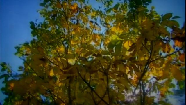 Стихи - (М. Цветаева - Моим стихам) смотреть онлайн