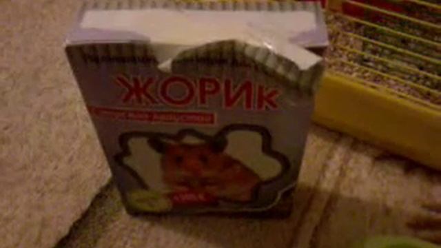 Сколко раз надо кормить хомяка в день смотреть онлайн