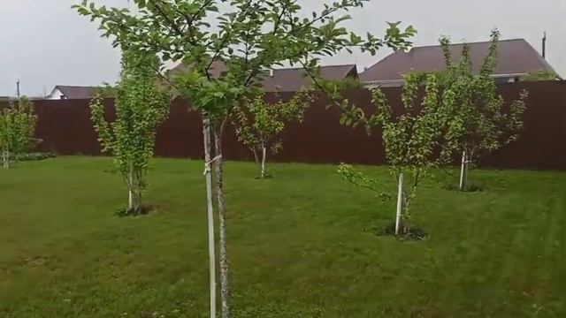 Продам дом в Старой Майне смотреть онлайн