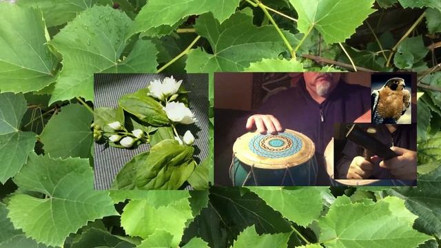 My Garden, My HeartBeat- non-Rhythmic Meditation, No-Trance,マッド瞑想音楽 смотреть онлайн