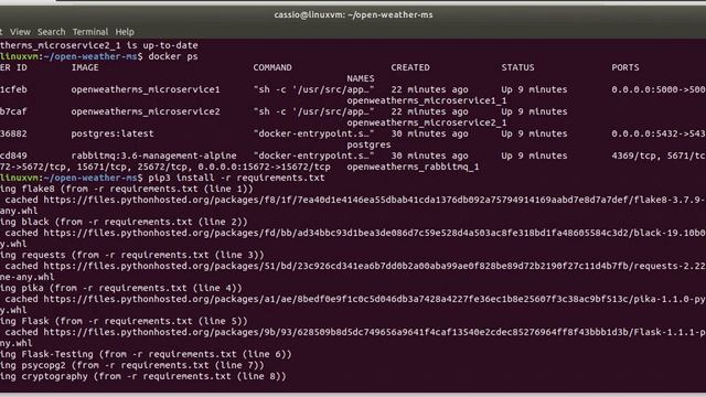 Demonstração da execução de acesso ao OpenWeather com microservices em Python смотреть онлайн