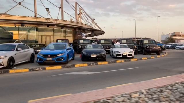 UAE. Dubai. Летят перелетные гуси смотреть онлайн