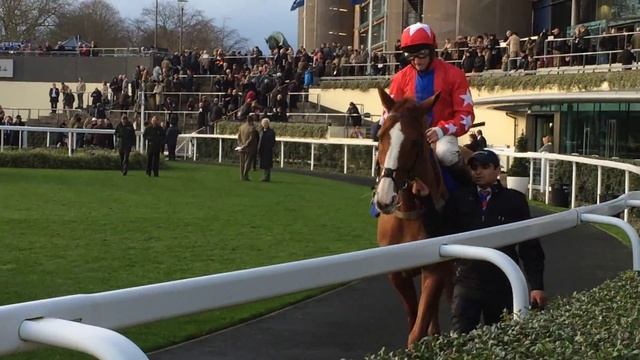 Champion Race Horse Sire DE Grugy Up Close at Ascot смотреть онлайн