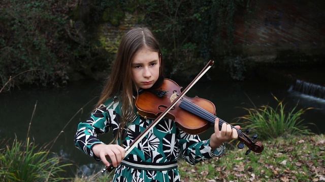 In the Hall of the Mountain King. Edvard Grieg. Violin. смотреть онлайн