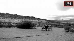 RDX | TNT | C4 Explosion