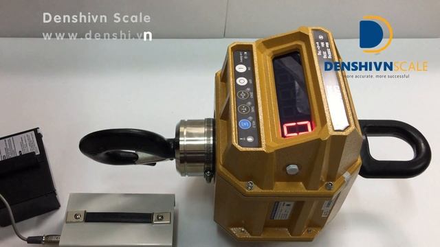 Cân Treo điện Tử THD 5t, Cân Treo Caston III - Cân điện Tử Denshivn