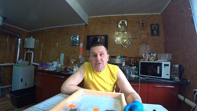 Часть 7. Влияние температуры на выход ювенилов и рост червя.