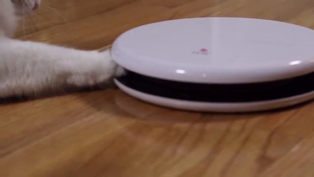 Интерактивная игрушка Frolicat Flik Automatic Cat Teaser смотреть онлайн