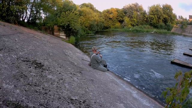 "Орёл мух не ловит..." Он ловит рыбу. Jintai Eagle в действии. Микроджиг и мормышинг. смотреть онлайн