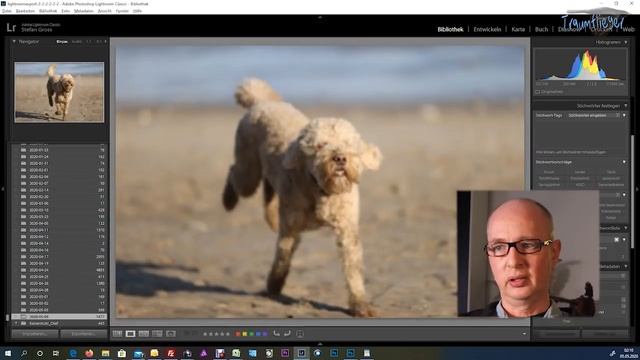 Canon EOS 1Dx Mark 3: AF-Test, Strandsession mit Zeus смотреть онлайн