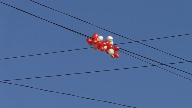 Video test Panasonic HC-X1000 1080 50p 28 Мб/с VBR Video test Full HD camcorder смотреть онлайн