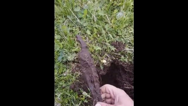 В поисках...с металлоискателем МД 4030 MD-4030 смотреть онлайн