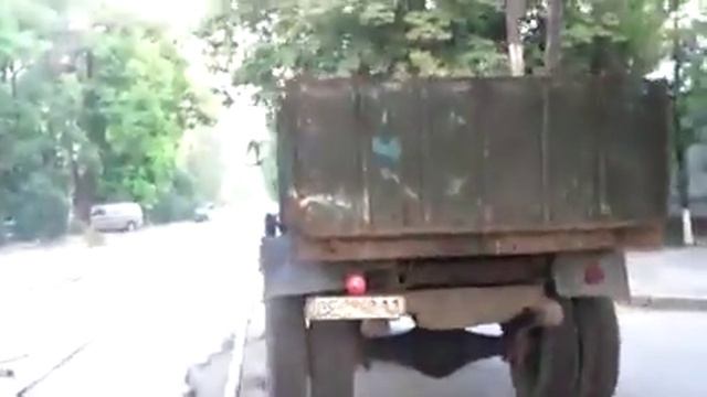 Зоошиза препядствует законному отлову бродячих псов смотреть онлайн