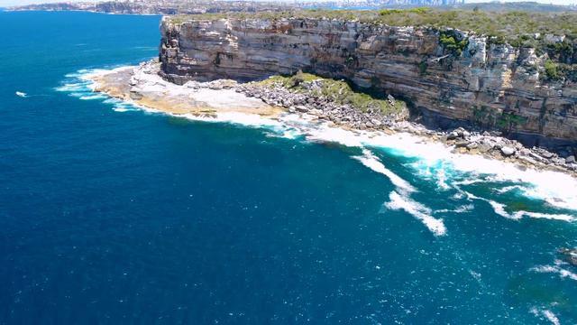 Drone tracking video of a falcon flying on the air смотреть онлайн